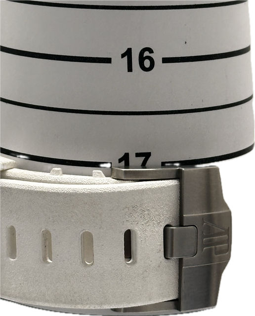 Audemars Piguet Royal Oak Offshore 15710ST.OO.A010CA.01 Image 5